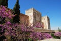 Castle, Alhambra Palace.
