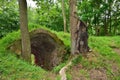 The castle Anhalt in the Harz