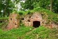 The castle Anhalt in the Harz