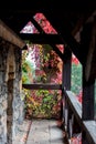 Castle balcony with grape Royalty Free Stock Photo