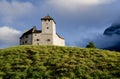Castle in Balzers, Lichtenstein Royalty Free Stock Photo