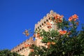 Castle in Bolgheri near the Etruscan coast, Italy Royalty Free Stock Photo