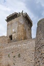 Castle of Borgia. Nepi. Lazio. Italy. Royalty Free Stock Photo