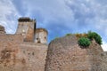 Castle of Borgia. Nepi. Lazio. Italy. Royalty Free Stock Photo