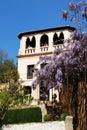 Castle building and garden, Alhambra Palace. Royalty Free Stock Photo