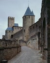 The castle Carcassone Royalty Free Stock Photo