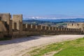 Castle of Carcassonne and Pic du Canigou