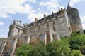 The castle of Chateaudun