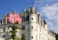 Castle of Chenonceaux, Loire Valley