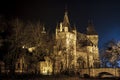 Castle in the City Park of Budapest Royalty Free Stock Photo