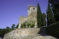 Castle of Conegliano, Veneto, Italy Royalty Free Stock Photo