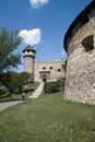 Castle detail in Buda Royalty Free Stock Photo