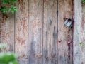 Castle on doors of old house. Symbol of guard, blocked entrance