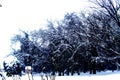 Castle DunÃâerski,Serbia,Winter,Travel,Kulpin