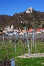 Castle of Durnstein with vineyard Austria, Europe Royalty Free Stock Photo