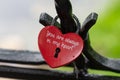 Castle, form of red iron hearts. Closed on the fence forged fence on the bridge. The background behind the water and the Royalty Free Stock Photo