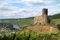 Castle and fortresses along the Mosel revier Royalty Free Stock Photo