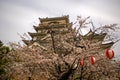 Castle, Fukuyama, Japan Royalty Free Stock Photo