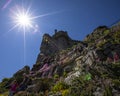 Castle Gardens at St. Michaels Mount in Cornwall, UK Royalty Free Stock Photo