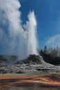 Castle geyser