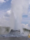 Castle Geyser in the Upper Geyser Basin of Yellowstone National Park Royalty Free Stock Photo