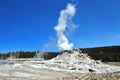 Castle Geyser in Upper Geyser Basin, Yellowstone National Park, Wyoming Royalty Free Stock Photo