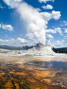 Castle Geyser, Yellowstone National Park, Wyoming