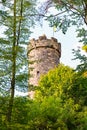 Castle Greifenstein in the Wood 2