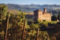 The castle of Grinzane Cavour, surrounded by the vineyards of Langhe, the most importan wine district of Italy