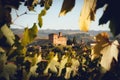 The castle of Grinzane Cavour, surrounded by the vineyards of Langhe, the most importan wine district of Italy Royalty Free Stock Photo