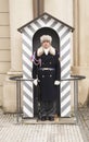 Castle Guard standing guard in his sentry Box at Prague Castle.