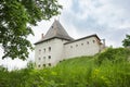 Castle of Halych at Summer