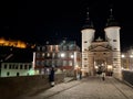 The castle of Heidelberg in Germany