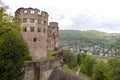 The castle of Heidelberg