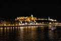 Castle Hill, Budapest, Hungary at night Royalty Free Stock Photo