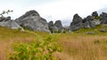 Castle Hill, famous for its giant limestone rock formations in New Zealand Royalty Free Stock Photo