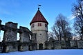 Castle honberg at honburg mountain in tuttlingen