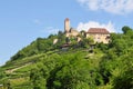 Castle Hornberg in Neckar valley in Germany