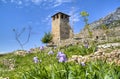 Castle in Kruje