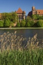 The castle Malbork Royalty Free Stock Photo