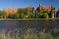 The castle Malbork Royalty Free Stock Photo