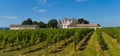 Castle Montbazillac-Vineyard of Bergerac-Dordogne-France