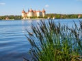 Castle Moritzburg at the lake