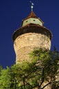 Castle Nuremberg, Germany Royalty Free Stock Photo