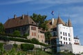 Castle of Nyon Royalty Free Stock Photo