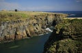 Castle of Old Wick and Caithness cliffs