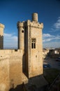 Castle olite tower Royalty Free Stock Photo