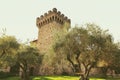 Castle and olives Royalty Free Stock Photo
