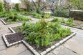 The Castle park physic garden, a Green open space in Bristol city centre