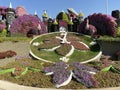 Castle and peacocks and hours covered with plants and blooming flowers in Miracle garden, Dubai